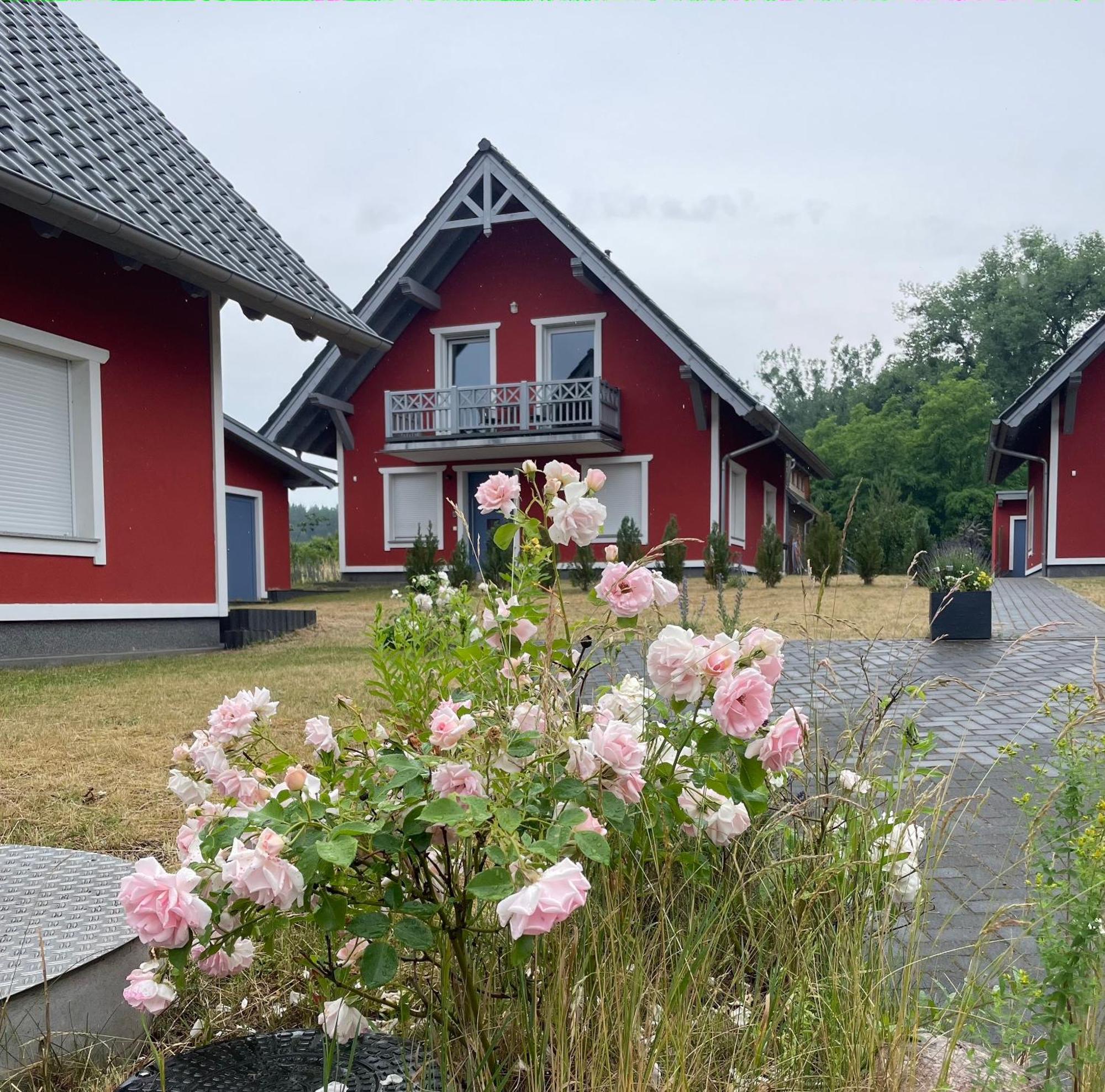 Urlaub Am Plaetlinsee - Haus Odin Wustrow  Exterior photo